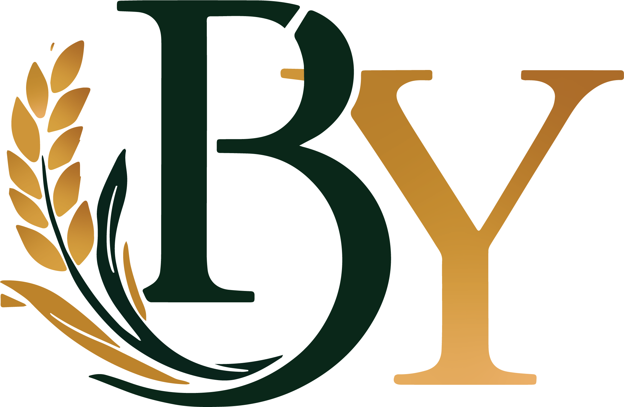 BY INTERNATIONAL Logo
